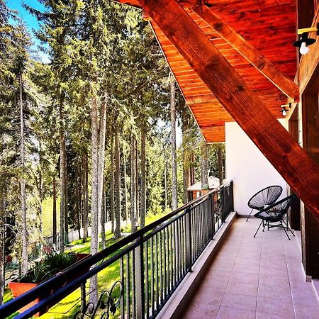 Boutique Villas Murgavets Pamporovo Eksteriør billede